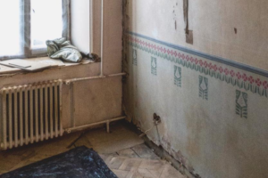 Петербуржцы при ремонте квартиры нашли росписи в стиле модерн начала XX века