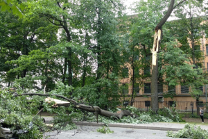 В Петербурге прошел ливень со штормовым ветром. Он повалил деревья и дорожные знаки, дороги затопило