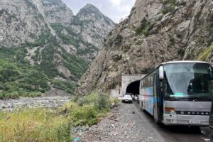 Важные ссылки для переезда и адаптации в Грузии: дорога, животные, жилье и карты