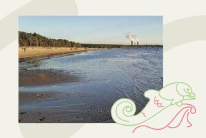 В Сосновом Бору — не только АЭС. Осмотрите детский городок и прогуляйтесь по дюнам на берегу Финского залива