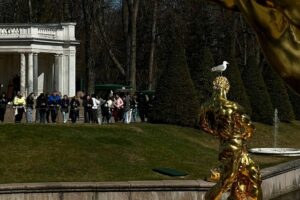 В Нижнем парке Петергофа прошел торжественный запуск фонтанов. Показываем, как это было, — в семи фотографиях