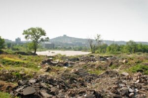 Дигомские поймы — важная экосистема Тбилиси, которую почти уничтожила тайная добыча материалов. Что произошло и как спасают местность?